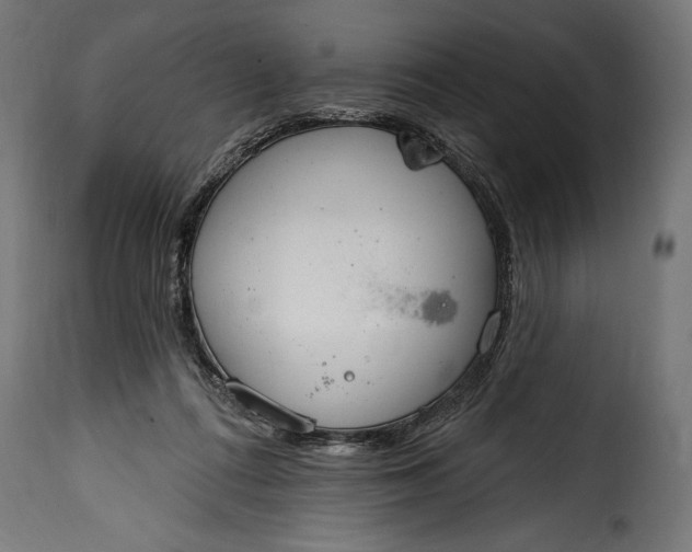 X0000115630312200911241653