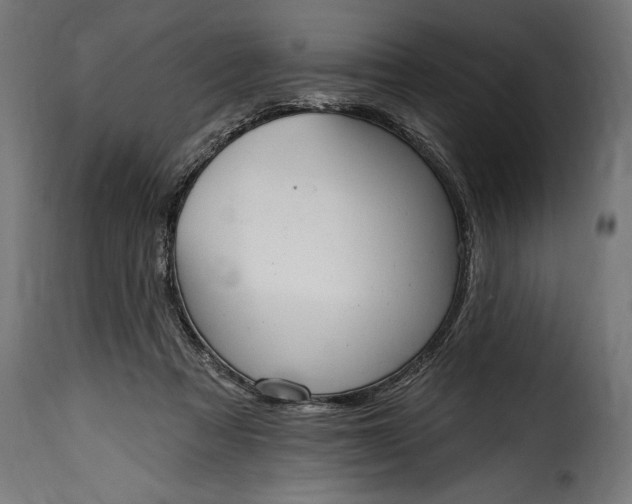 X0000115630313200911241653