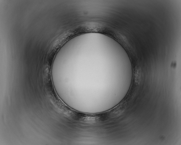 X0000115630314200911241653