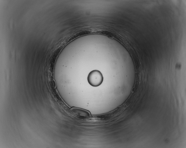 X0000115630316200911241653