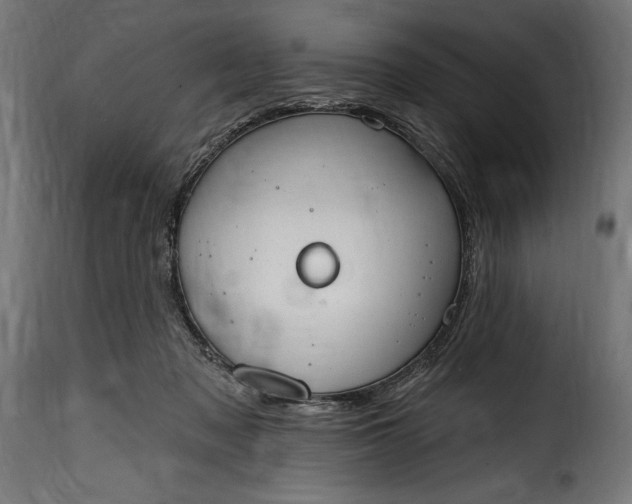 X0000115630317200911241653