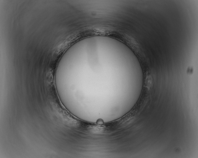 X0000115630318200911241653