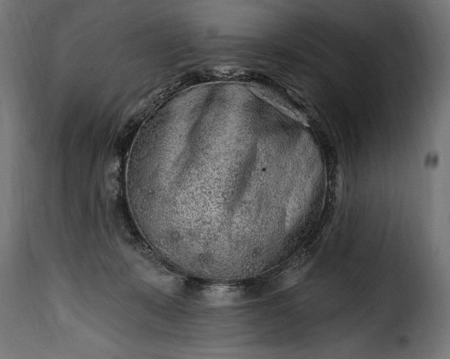 X0000115630319200911241653