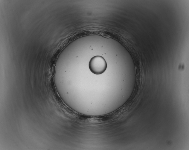 X0000115630320200911241653