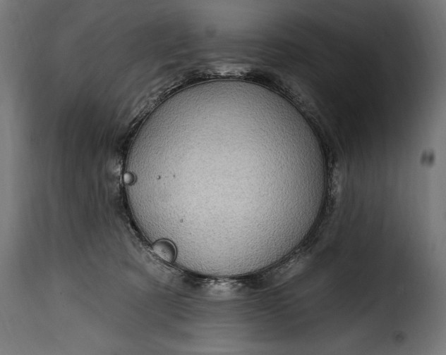 X0000115630321200911241653