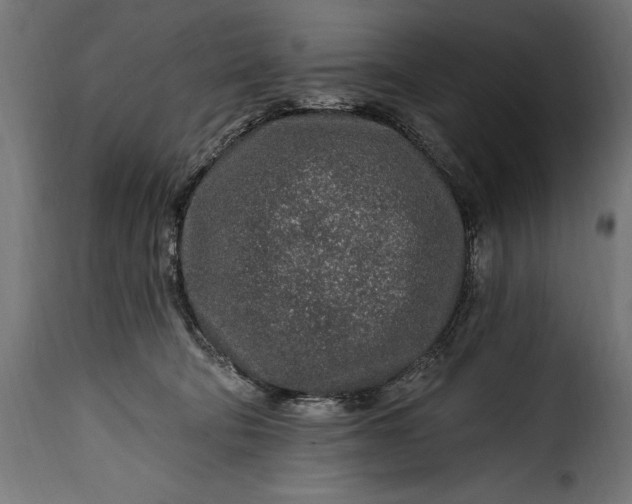 X0000115630322200911241653