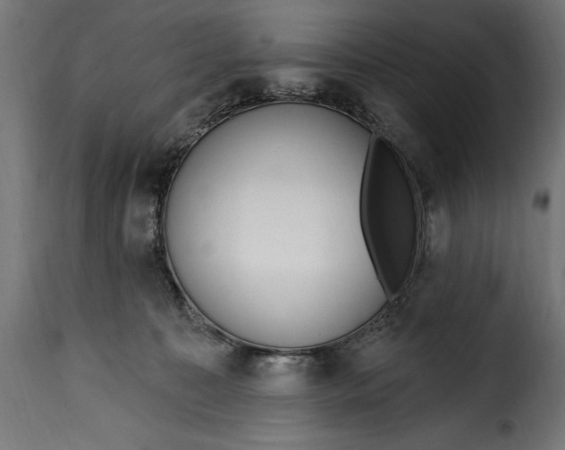 X0000115630323200911241653