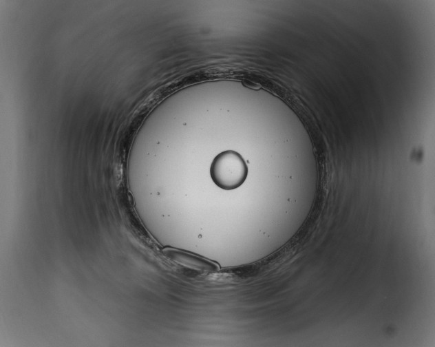 X0000115630324200911241653