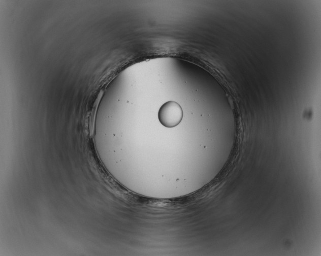 X0000115630325200911241652