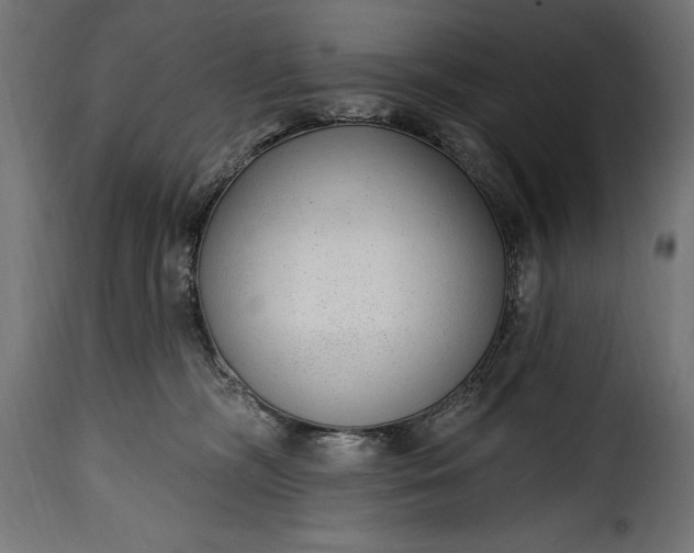 X0000115630326200911241652