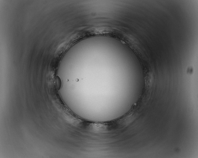 X0000115630327200911241652