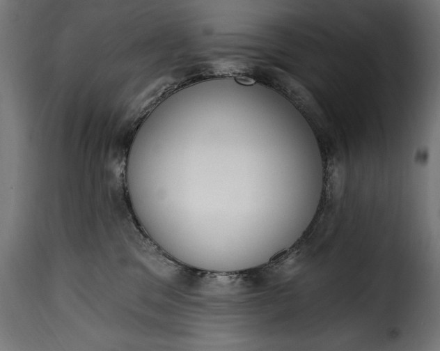 X0000115630329200911241652