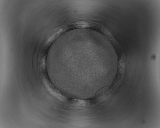 X0000115630330200911241652