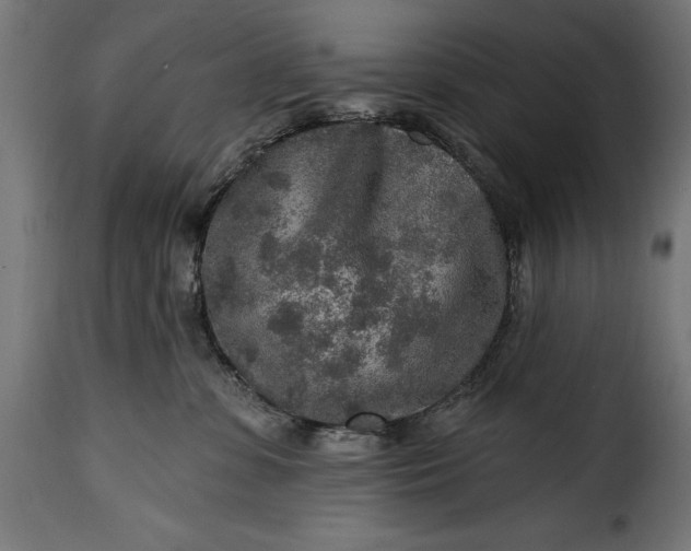 X0000115630331200911241652