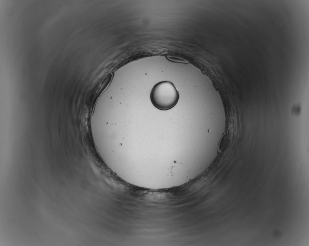 X0000115630332200911241652