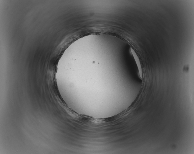 X0000115630333200911241652