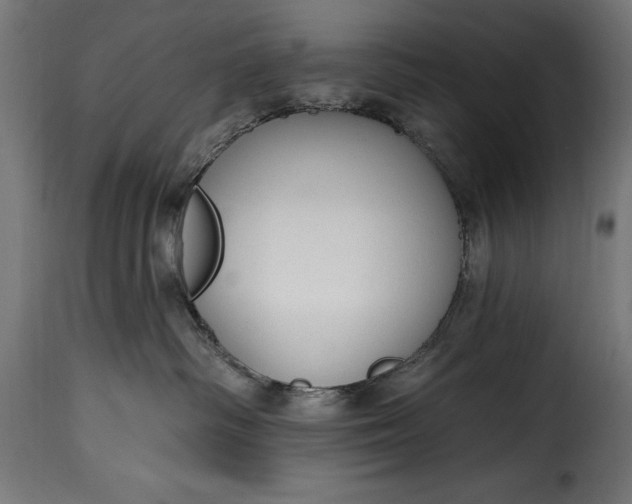 X0000115630334200911241652