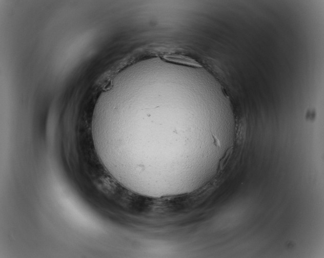 X0000115630335200911241652