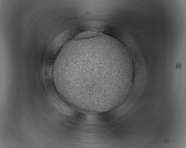 X0000115630336200911241652