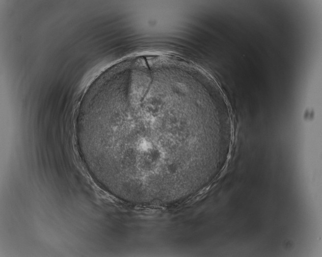 X0000115630337200911241652