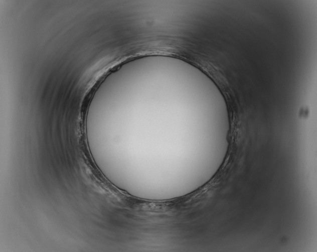 X0000115630338200911241652