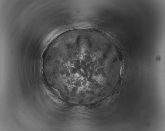 X0000115630339200911241652