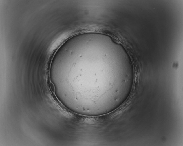 X0000115630341200911241652