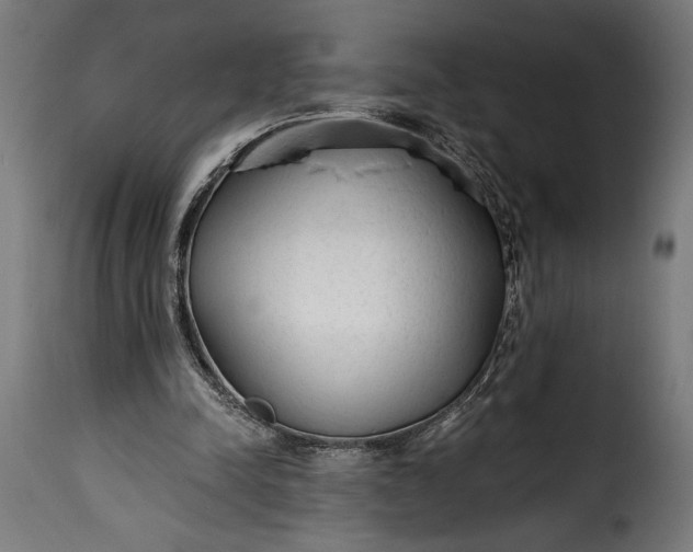 X0000115630342200911241652