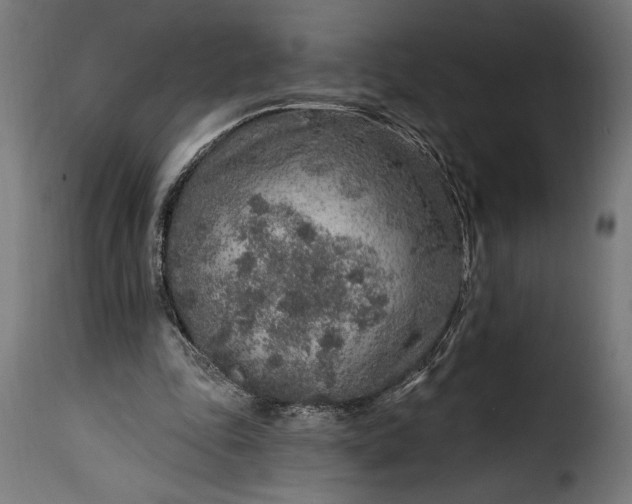 X0000115630343200911241652