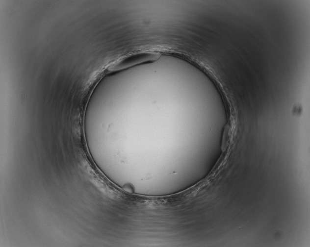 X0000115630345200911241652