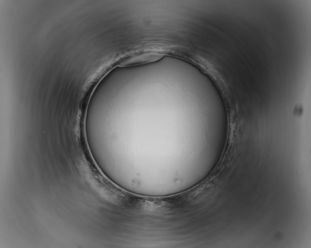 X0000115630346200911241652