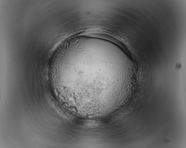 X0000115630347200911241652