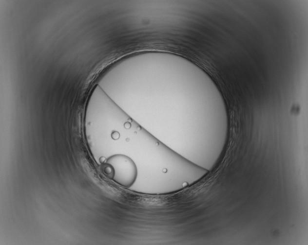 X0000115630349200911241652