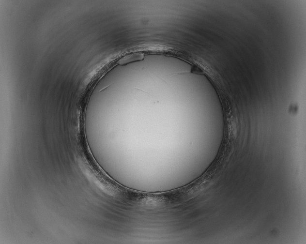 X0000115630350200911241652