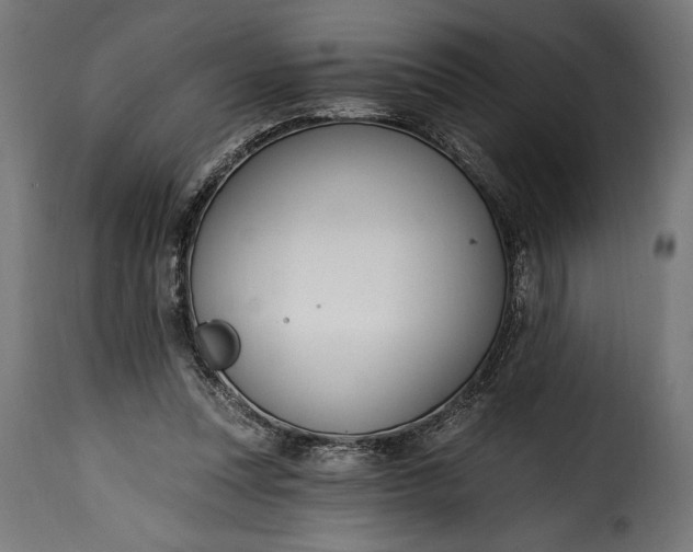 X0000115630351200911241652