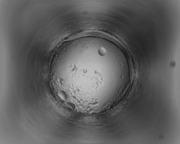 X0000115630353200911241652