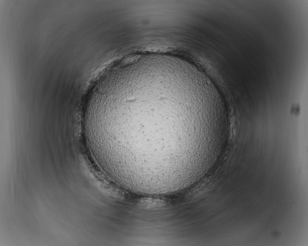 X0000115630354200911241652