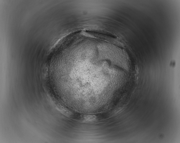 X0000115630355200911241652