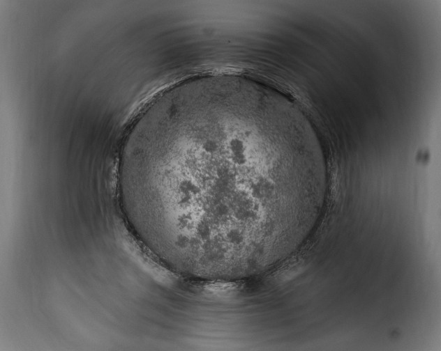 X0000115630357200911241652