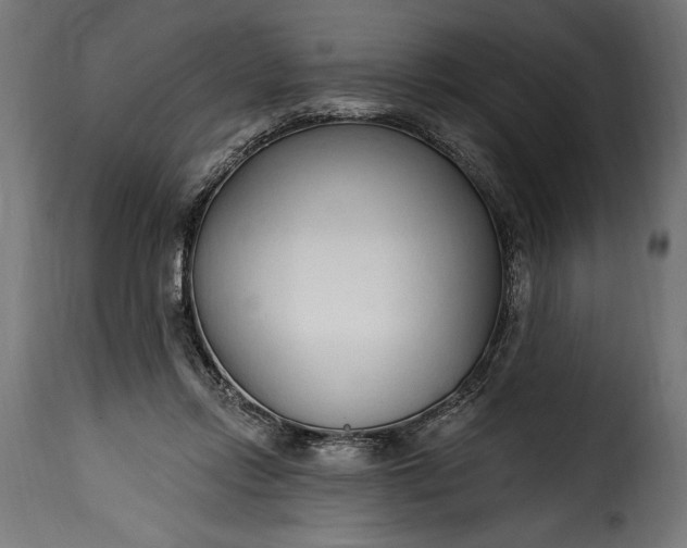 X0000115630358200911241652