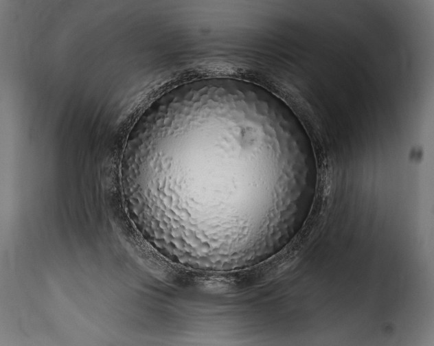 X0000115630359200911241652