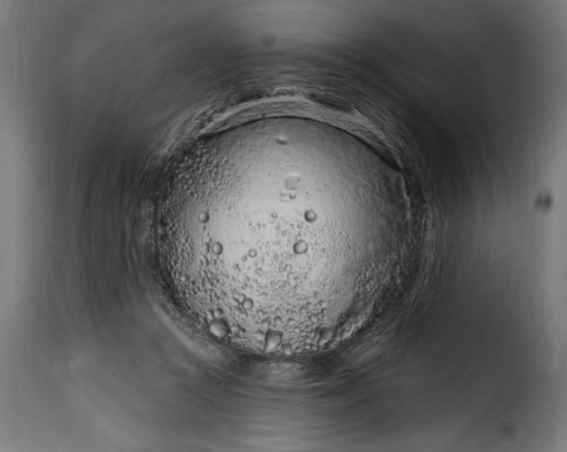 X0000115630361200911241652