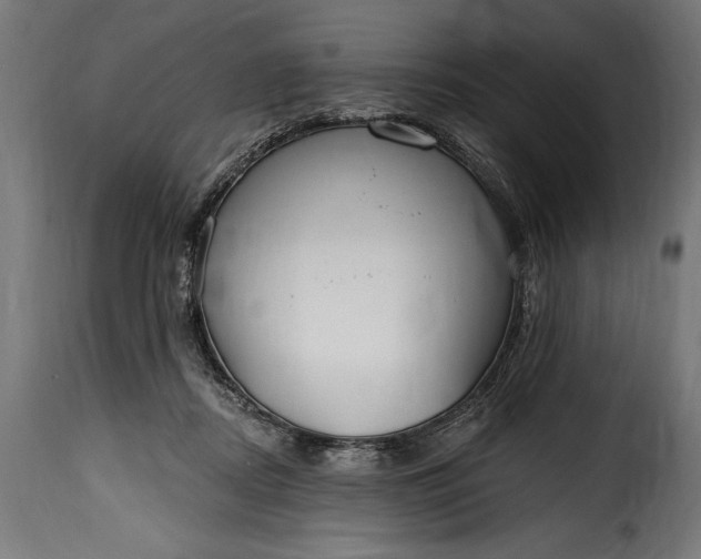 X0000115630362200911241652