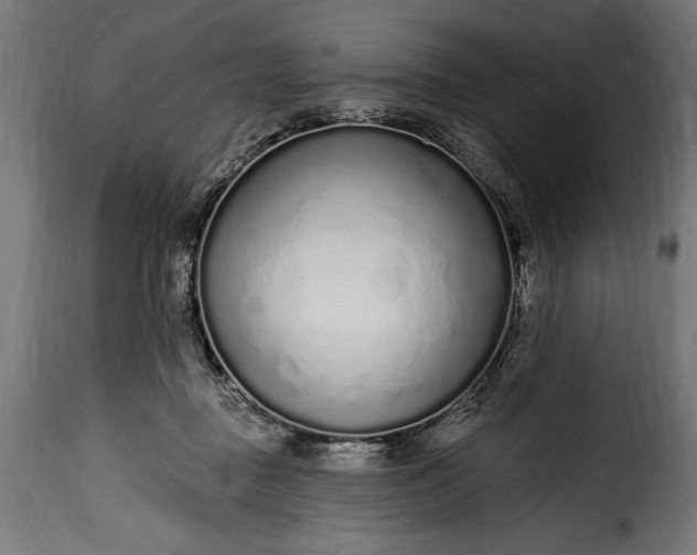 X0000115630363200911241652