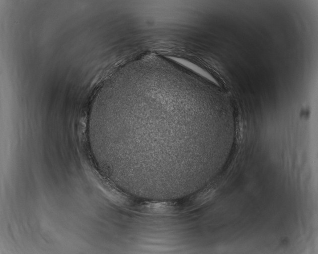 X0000115630365200911241652