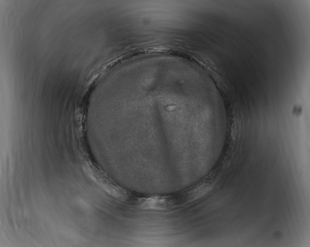 X0000115630366200911241652