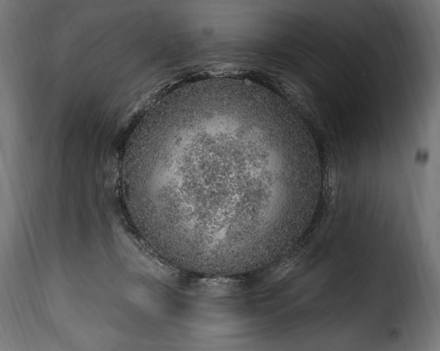 X0000115630367200911241652