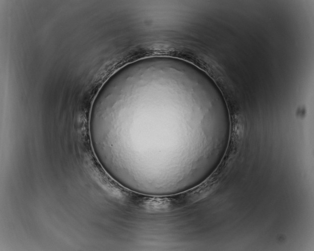 X0000115630369200911241652