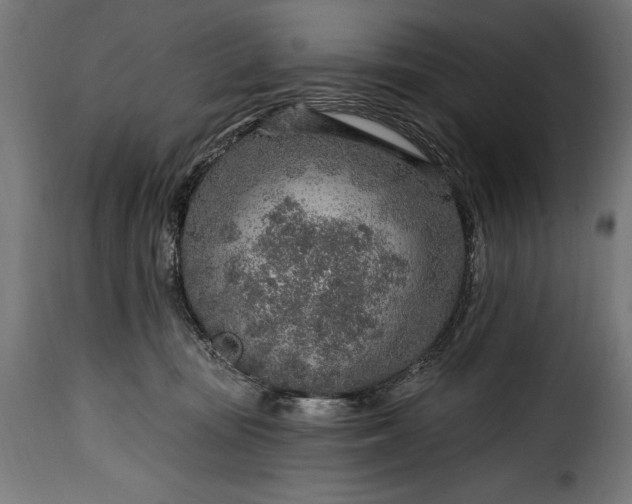 X0000115630371200911241652