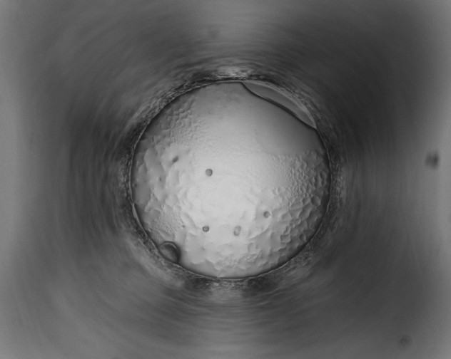 X0000115630373200911241652